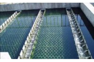 【干貨】生物濾池為什么一受沖擊氨氮去除率就會下降？
